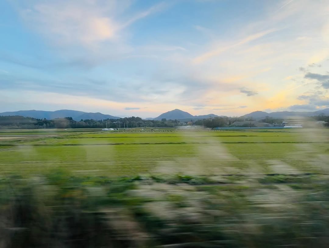 Blurred green fields and distant mountains from a moving train.